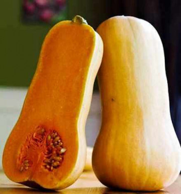 Dovleac Waltham Butternut (3.000 seminte) seminte dovleac placintar in forma de para, Agrosem