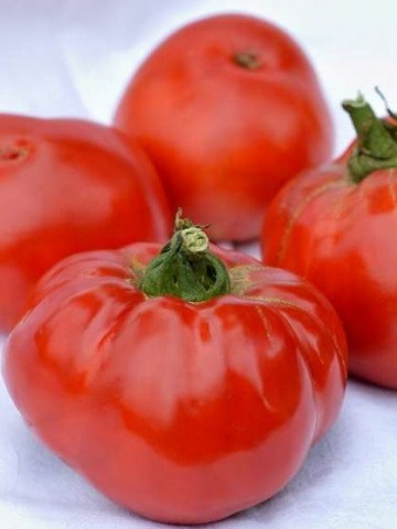 Elisabeta (3000 seminte) de rosii cu crestere nedeterminata fara capac verde, Agrosel
