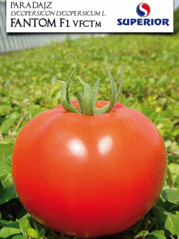 Fantom F1 (1 gr) seminte tomate nedeterminate semitimpurii, Superior Seeds Serbia