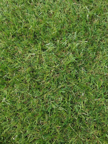 Gazon artificial Salzburg - 1 x 4 m.