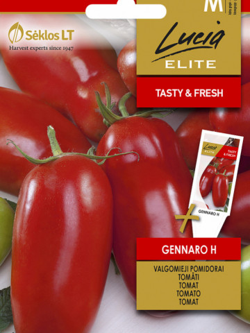 Gennaro F1 (15 seminte) de rosii cu fructe mari, alungite si delicioase, Seklos