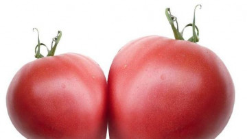 Inima Roz (50 seminte) tomate nedeterminate semitimpurii Soi rosii Mari