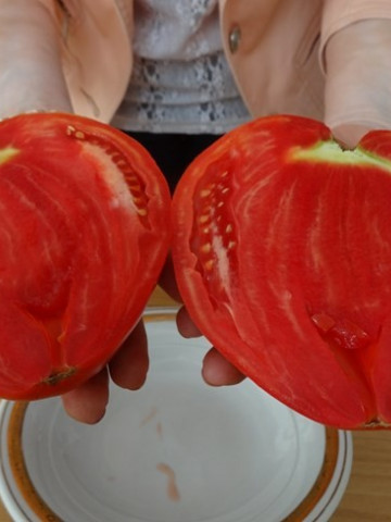 Inima Stacojie (Aleno Sartse) 150 seminte de tomate tip Gigant bulgaresc in forma de inima tip Beef, IZK Bulgaria