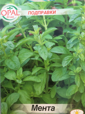 Menta - 0.2 gr - Seminte de Menta Plante Aromatice si Medicinale de la Opal