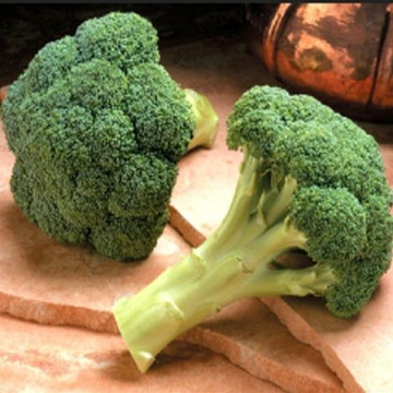 Monaco F1 (2500 seminte) brocoli rotund recomandat pentru consum proaspat, Syngenta