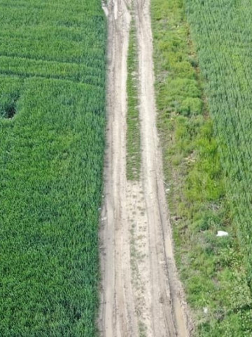 Naturamin-WSP fertilizator de ultima generatie cu 80% aminoacizi liberi (0.5 kg), biostimulare a cresterii si dezvoltarii plantelor in toate fazele, Daymsa