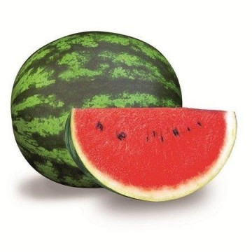 Oneida F1 (1000 seminte) pepene verde extratimpuriu pentru camp tip Crimson Sweet, Rijk Zwaan