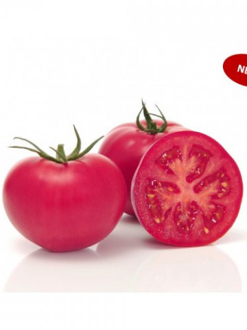 Pink Wand F1 (500 seminte) tomate roz extratimpurii nedeterminate partenocarpice, Sakata