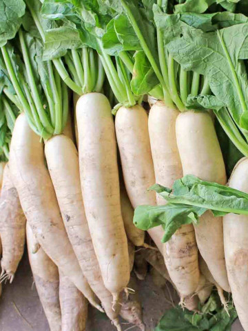 Ridichi Minowase (400 seminte), ridichi Daikon albe, lungi, soi semitimpuriu, Agrosem