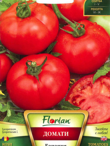 Rosii Bononia (2 gr), soi semitimpuriu determinat pentru camp, Florian