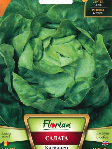 Salata Karganer Summer (1500 seminte) de salata - primavara si toamna Florian Bulgaria