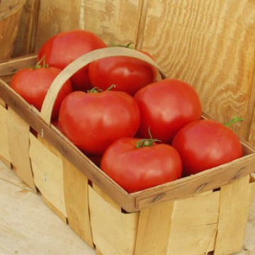 Seminte rosii Red Bounty (250 seminte), rosii determinate, Clause