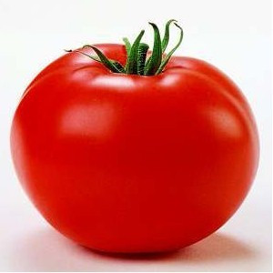 Seminte tomate Tamaris F1 (1000 seminte), crestere nedeterminata semitimpuriu, Clause
