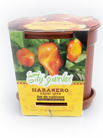 Set de cultivare - Ardei iute Mexican Habanero Orange, Colectia City Garden