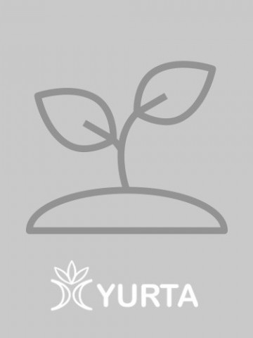 Set rasadnita micaBănuț ei albi, Colectia City Garden