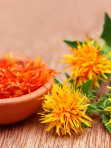 Sofranas (1.5 gr) planta anuala medicinala, flori portocalii pentru colorarea alimentelor, Agrosem