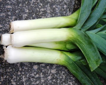 Tomis (2,5 g) praz cu frunze verde inchis si tulpina alba, Agrosel