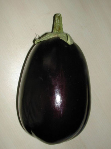Tudela F1 (1000 seminte) de vinete ce leaga bine la temperaturi joase tip Black Beauty, Hazera