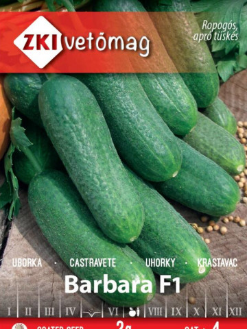 Barbara F1 (80 seminte) de castraveti cornison semitimpurii, ZKI