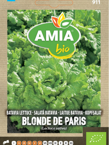 Batavia Blonde de Paris BIO (800 seminte) salata ECO, certificate ecologic tip batavia, AMIA