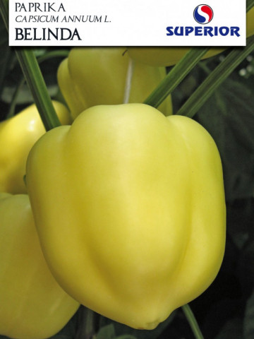 Belinda (1500 seminte) de ardei gras soi sarbesc, Superior Seeds