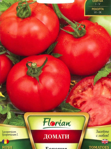 Bononia - 50 gr - Seminte de Tomate pentru camp Soi determinat semitimpuriu de la Florian Bulgaria