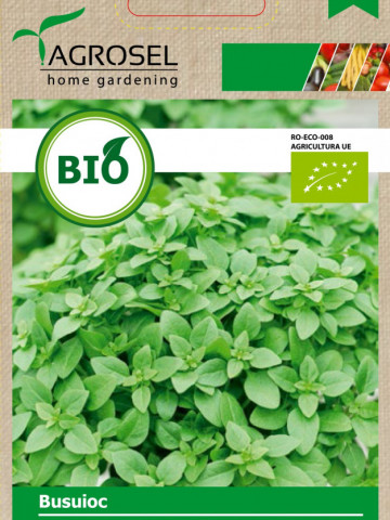 Busuioc BIO (100 seminte) busuioc verde ECO certificat ecologic planta aromatica, Agrosel