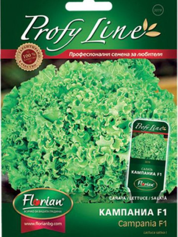 Campania F1 - 50 sem - Seminte Salata tip Batavia Verde-Inchis Hibrid Rezistent