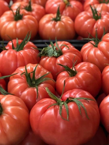 Cassarosa F1 (500 seminte) tomate crete - costate, culoare roz - violet nedeterminate, Yuksel