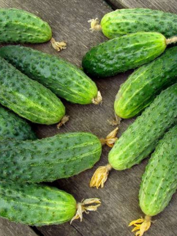 Castraveti Paris Small Green (1 kg), seminte de castraveti cornison soi timpuriu, inflorire mixta, Agrosem