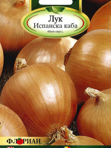 Ceapa CABA SPANIOLA - 2 gr - Seminte de Ceapa Florian Bulgaria