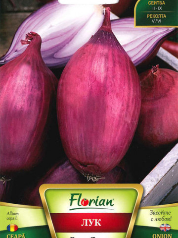 Ceapa lunga de apa Rosa Lunga (600 seminte-2g) tip ceapa de apa rosie de Buzau, Italia