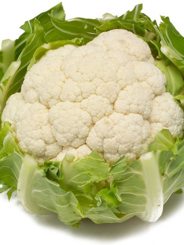 Charlot F1 (1000 seminte) conopida cu capatani perfect albe bine indesate ideala pentru cultivatori unde calitatea marfii conteaza, Bejo