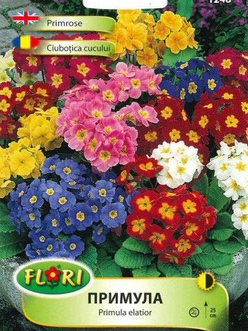 Ciubotica Cucului Mix (100 seminte) Flori Ciubotica Cucului, Florian