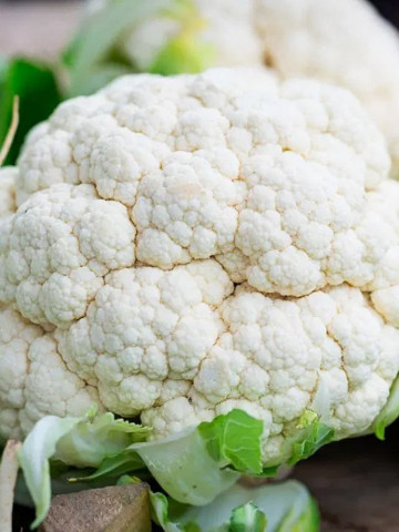 Conopida Snowball X (300.000 seminte) conopida soi semitimpuriu, Agrosem