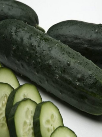 Goghen F1 (500 seminte) de castraveti cu fructe de forma atractiva verde inchis ce asigura o productie mare, Esasem
