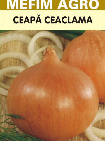 Jaune Paille (2 gr) seminte ceapa ceaclama, soi productiv, Mefim