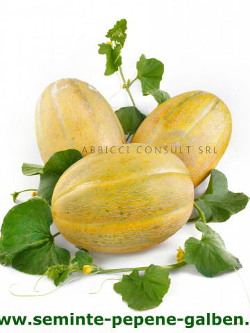 Kehlibar F1 (100 gr) seminte de pepene galben, bulgaresti profesionale, Agrotop Bulgaria