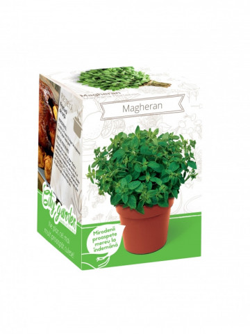 Magheran - Kit plante aromatice
