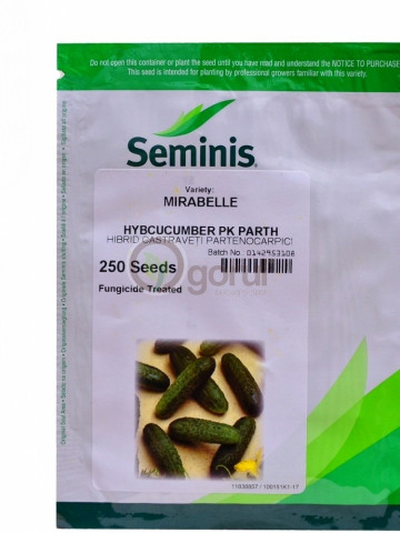 Mirabelle F1 (250 seminte) castraveti extratimpurii, Seminis