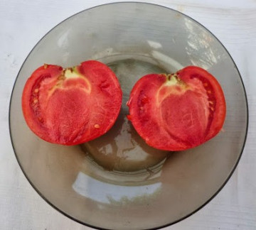 Naslada F1 - 1 gr – Seminte Tomate hibrid nedeterminat timpuriu Naslada F1 de la Opal Bulgaria