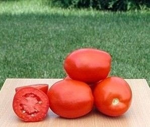 Perfectpeel F1 (10.000 seminte) rosii determinate, Seminis