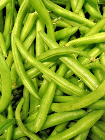 Provider (100 gr) seminte de fasole pitica verde, carnoasa si foarte frageda, Agrosem