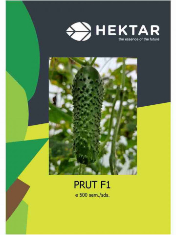 Prut F1 - Siret F1 imbunatatit (100 seminte) de castraveti tip conichon, Hektar