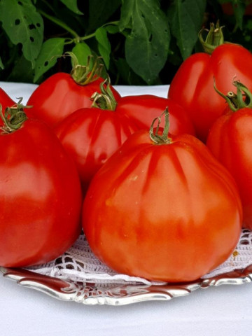 Red Pear (60 seminte) rosii in forma de para soi italian clasic tip Beef, ChemyFarm