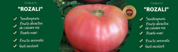 Rozali (0.5 gr), seminte tomate soi roz Nedeterminat tip Gigant cu tulpina inalta, Florian
