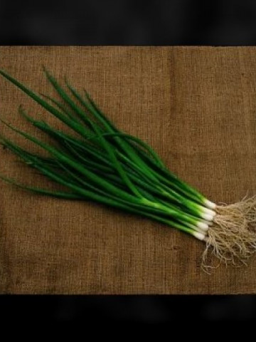 Savel (50.000 seminte) ceapa verde de legatura, de vara, , Hazera