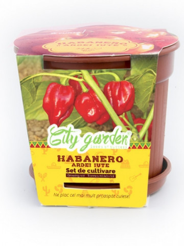 Set de cultivare - Ardei iute Mexican Habanero Roșu, Colectia City Garden