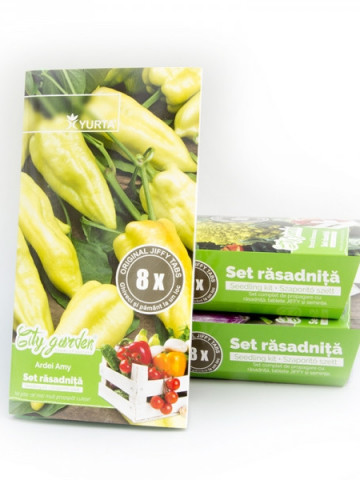 Set rasadnita medie - Ardei Amy, Colectia City Garden