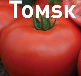 Tomsk F1 (1000 seminte) rosii olandeze determinate, Bejo